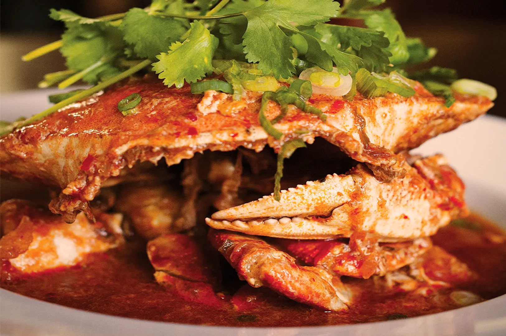 Close-up of a spicy chili crab dish on a white plate, topped with fresh cilantro and green onions. The vibrant sauce adds a rich, appetizing look.